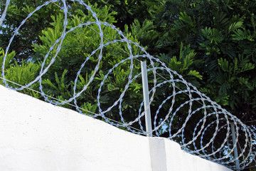 Barbed wire on the wall