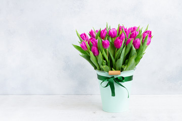 Fototapeta na wymiar Violet fresh tulip flowers in pot on gray background with copy space