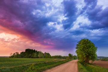 Obraz premium landscape - storm clouds over fields of cereals