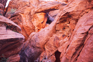 Erosion patterns in sandstone in Valley of Fire