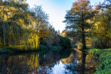 Fototapeta premium Autumn, colours, reflections around Bishops Stortford.
