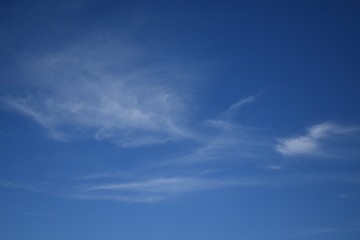Naklejka na ściany i meble White thin clouds against the blue sky background 