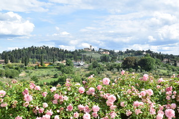 Florence landscape