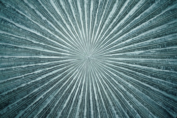 Zoom in center