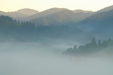 Beautiful morning panorama of forest covered by low clouds. Autumn fog on the mountain hills. Misty fall woodland. Sunrise in forested mountain slope..