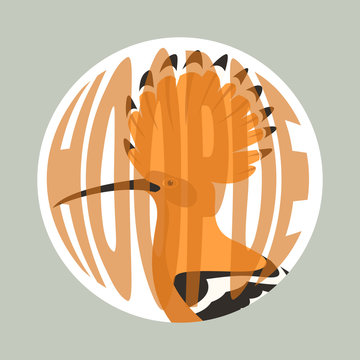 recommend clip art:  hoopoe bird  vector illustration flat style profile