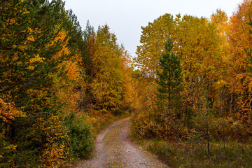 Nature in fall © Anders