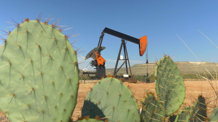 Industrial jack pump platform working on oil field behind cactuses © helivideo