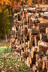 pile of logs