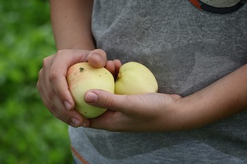 boy holding an apple