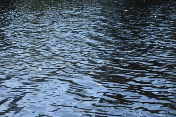 Small ripples on the dark blue water background