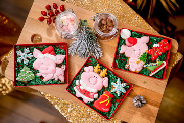 Gingerbread piggy in carton box on the table with fir branches, nuts and berries, top view. Holiday sweets. New Year's and Christmas theme. Festive mood. Christmas Card