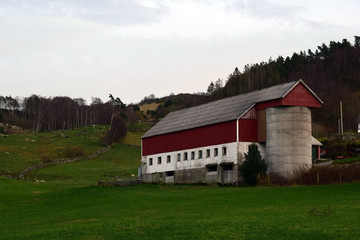 Obraz premium Typical cattle farm in Norway. Life in the village and agriculture. Farm on the side of a hill.