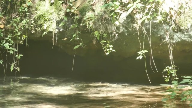 pool zone of the tropical stream with light reflex to the stone on the bank