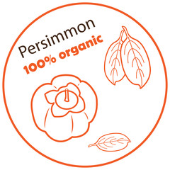 Persimmon with leaves vector illustration on white background