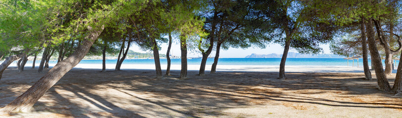 Fototapeta na wymiar Puerto de Alcudia beach