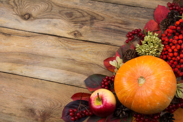 Fall background with pumpkin, rowan berries, copy space