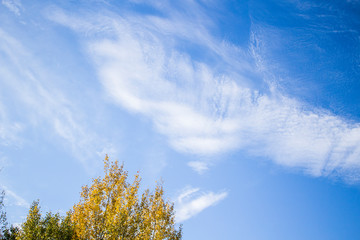 Fototapeta na wymiar sky nature landscape clouds