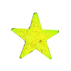 Homemade lollipop. Yellow star shaped lollipop isolated.