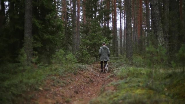 young man in a green jacket walks with a dog in the forest. Hike on nature with a pet.