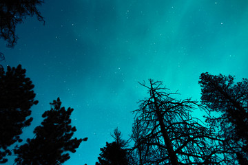 Fototapeta na wymiar Turquoise Night Sky Stars