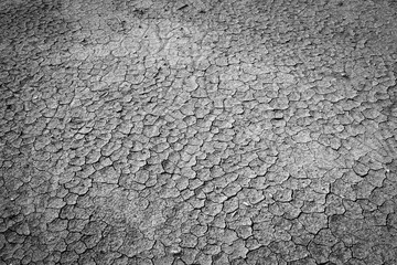 Cracked dry ground surface without plant or grass.  Processed in black and white color tone.