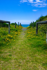 Fototapeta na wymiar Verticle view of scenic path down to an Australian beach lined by rustic posts and yellow wild flowers, NSW, Australia