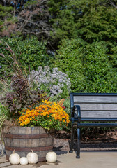 Bench in the botanical garden