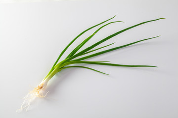 Green onion isolated on the white background