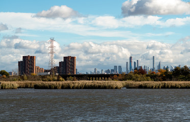 Nature reserve with NY city in the background