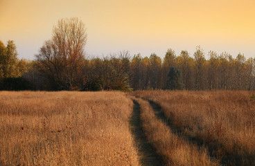 Country Road in Autumn
