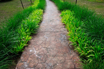 Obraz premium path in the park