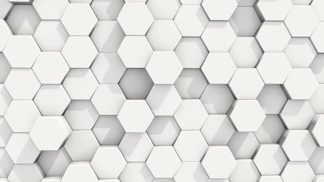 Abstract White Hexagon Corporate Video Background