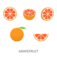 Grapefruit set vector illustration