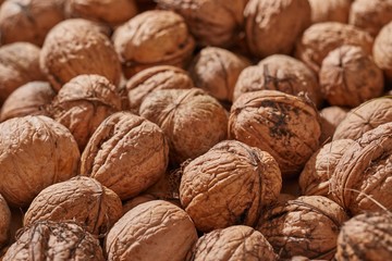 Walnuts in a pile