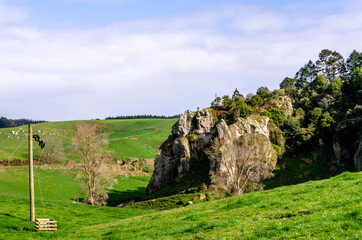 Beautiful stone on the countryside of New Zealand