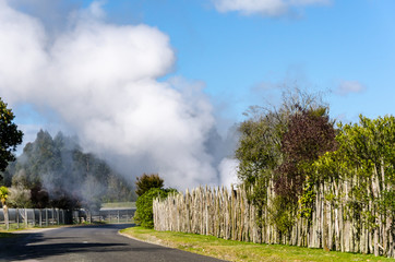 Wairakei Natural Thermal Valley street, New Zealand