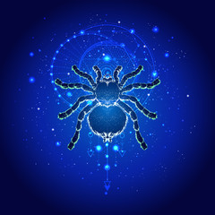 Vector illustration with hand drawn spider tarantula and Sacred geometric symbol against the starry sky. Abstract mystic sign.