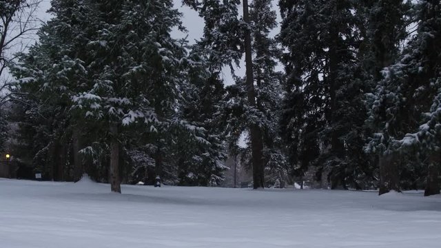 Walking through a winter snow storm at Cheesman Park in Denver, Colorado