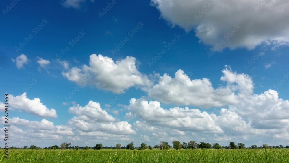 Wall mural 4k timelapse sky cloud over field green, rice field