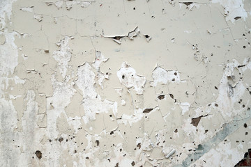 Crackled pealing white paint on wall, with textured look and feel.