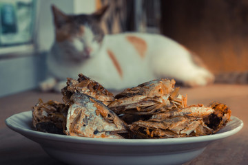 Sleeping cat watch deep Fried Fish Head. Selective focus on the
