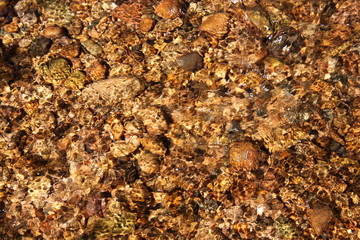 Creek Riffle background