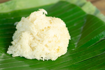 Sticky rice on babana green leaf