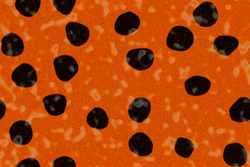 computer generated animal skins texture spots