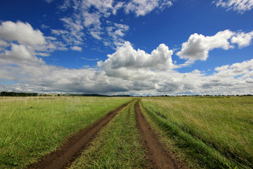 Fototapeta na wymiar summer landscape with road in the field against the horizon with blue sky and clouds