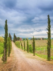 Fototapeta na wymiar Typical tuscan landscape