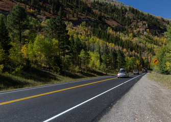 road in the forest