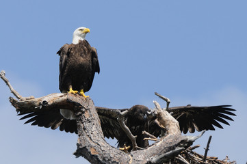 First Step is a Long Way Down
