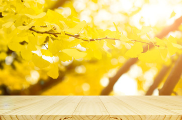 Fototapeta na wymiar Perspective wood table and fully yellow of Ginko autumn leaves with bokeh background.